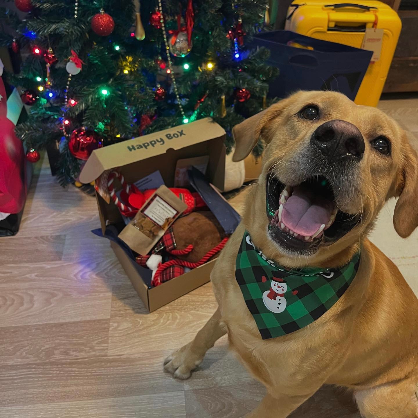 28D5100D-A45A-4132-AA87-D5249AB8772A (1)