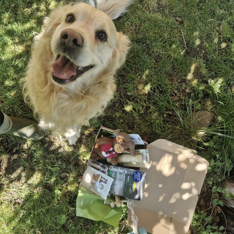 567A3637-2933-4987-8E79-A8967F16B324