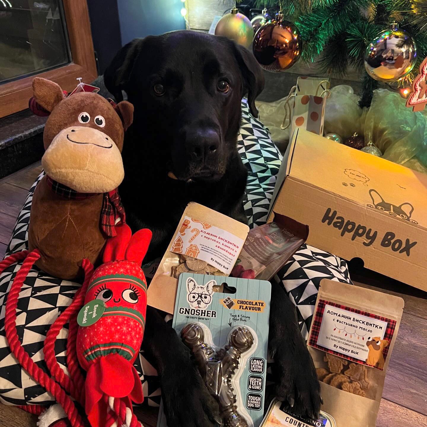 70940DC1-0303-41E8-9AF2-575C5980FF09