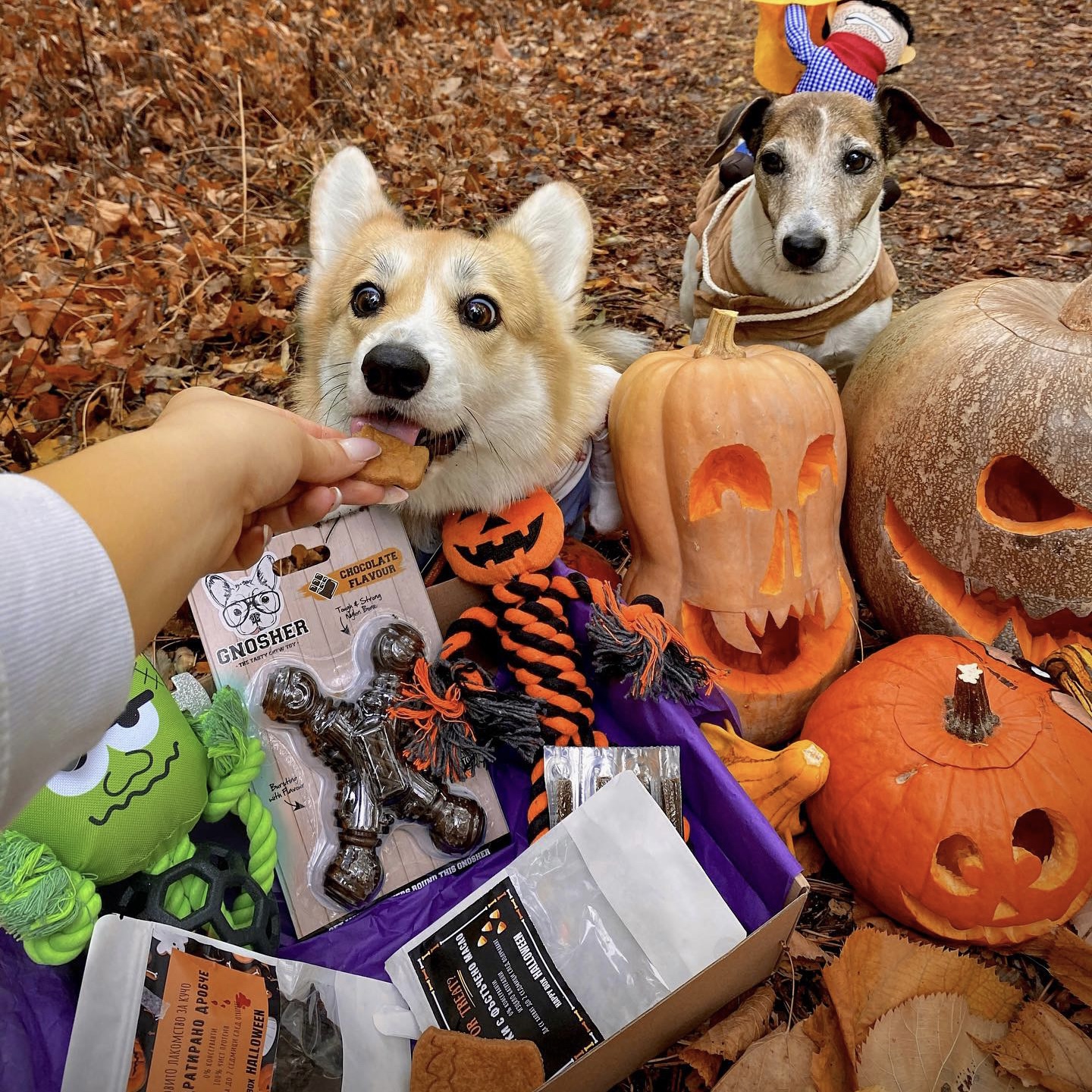 98426907-BA5E-4027-B81B-E033AAB532FB