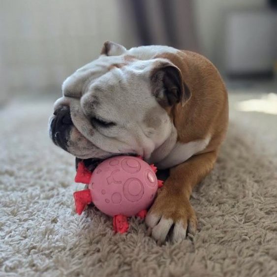 A15E6A59-5127-4A23-8AB8-F1E6C77038FA