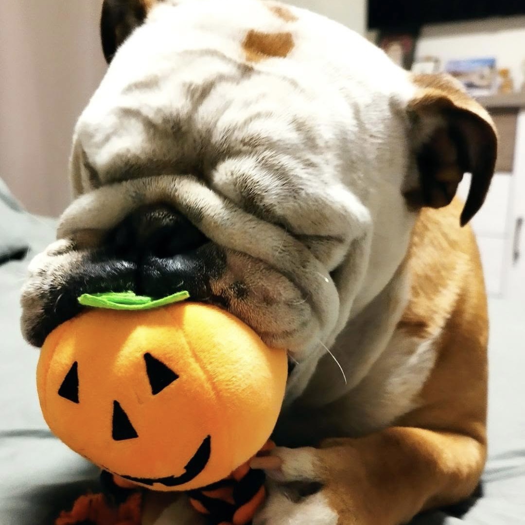 C1B430F8-B18E-4BF4-8215-DF13DFC80DE5