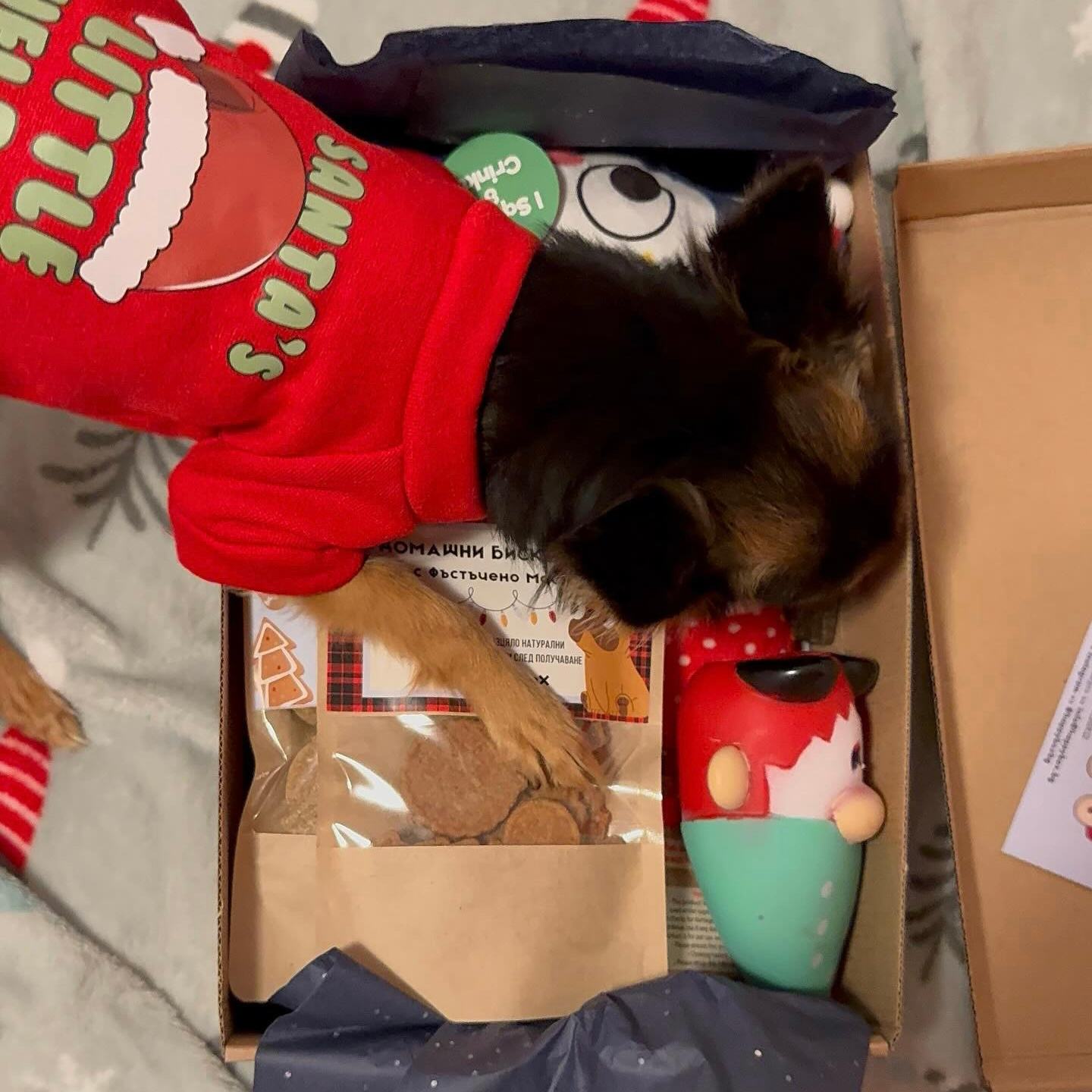 D500187D-1A12-47F4-B158-286B60FBDCC5 (1)