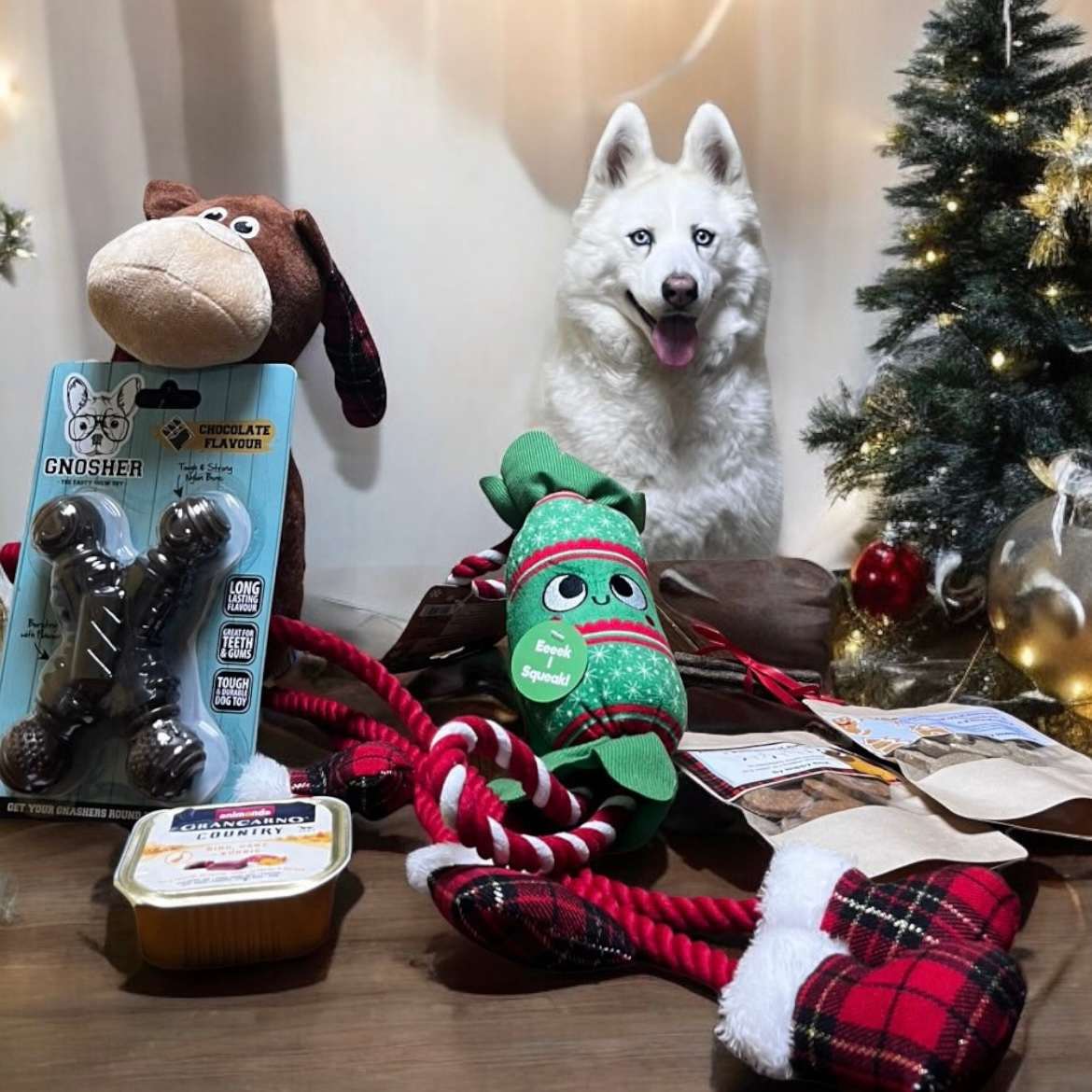 Photoroom_20241211_174849 (1)