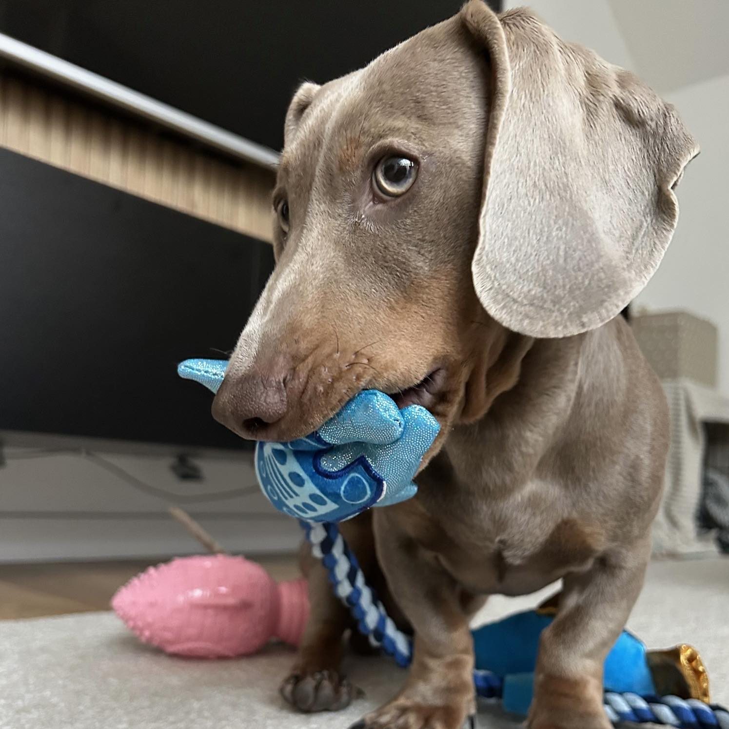 viber_image_2025-04-09_16-12-45-497