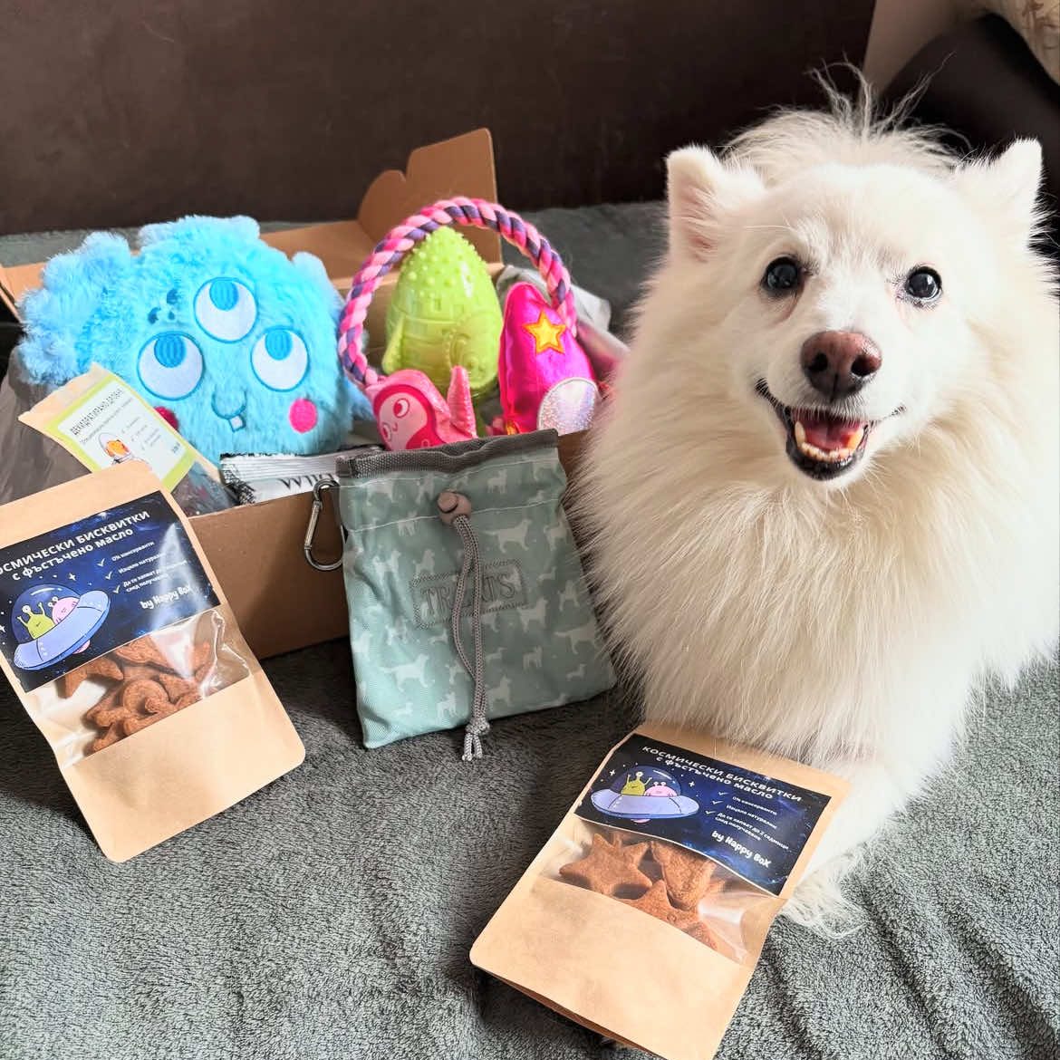 viber_image_2025-04-09_16-13-43-753