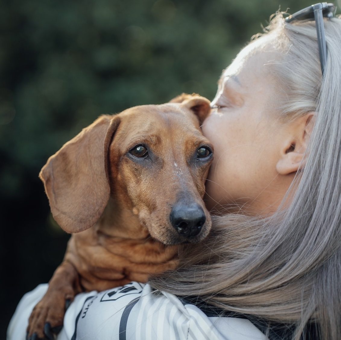 Цвети и Даки
